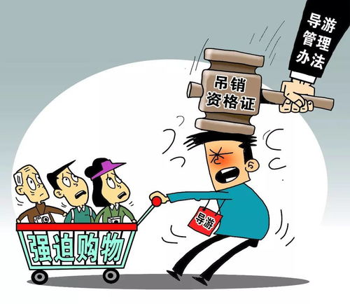 2018年1月1日起，黃石人生活質(zhì)量提升新規(guī)與上海網(wǎng)絡(luò)技術(shù)轉(zhuǎn)讓的聯(lián)動(dòng)影響
